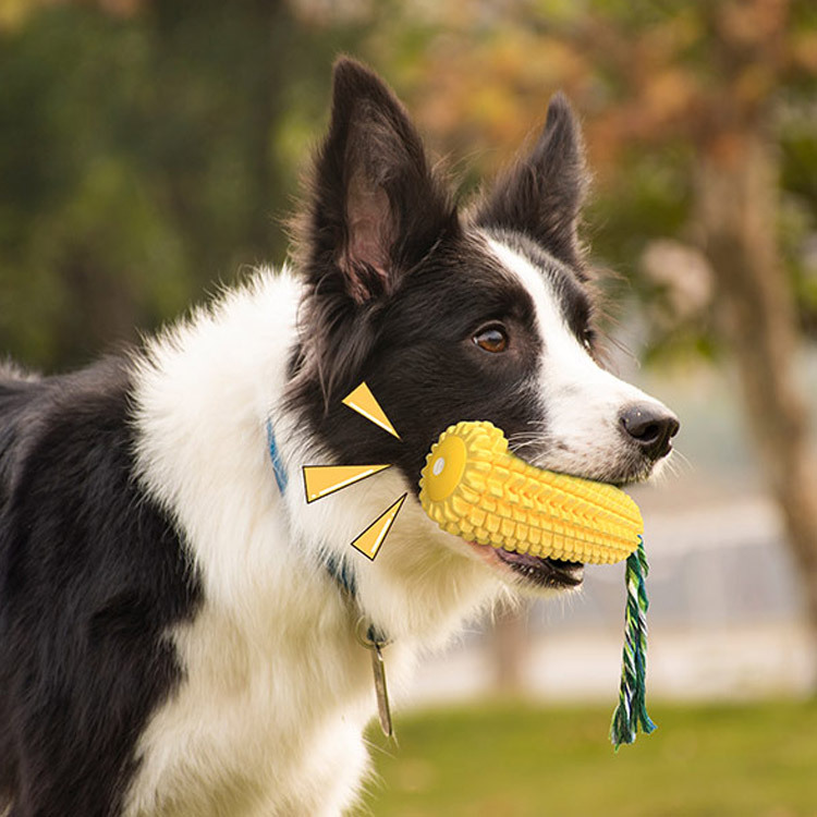 Popular Durable Rubber Corn Do - đánh giá và giá Corn Dog Stick
